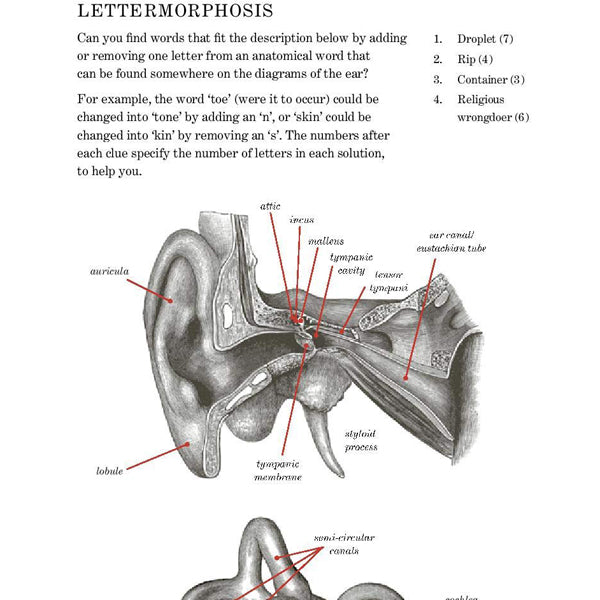 Gray's Anatomy Puzzle Book