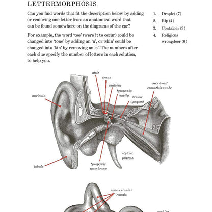 Gray's Anatomy Puzzle Book