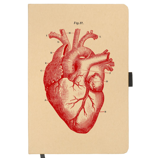 Heart Diagram Notebook