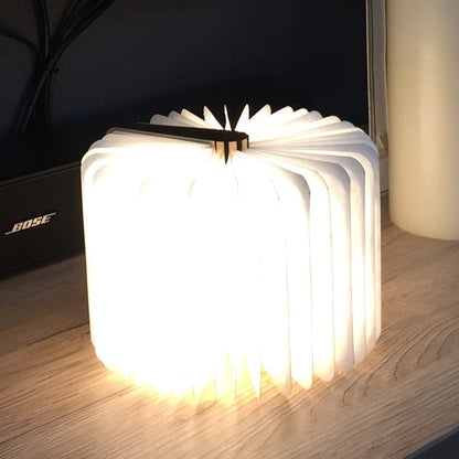 Book Light - Mini