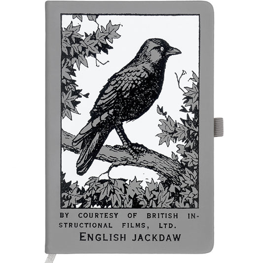 Jackdaw Notebook