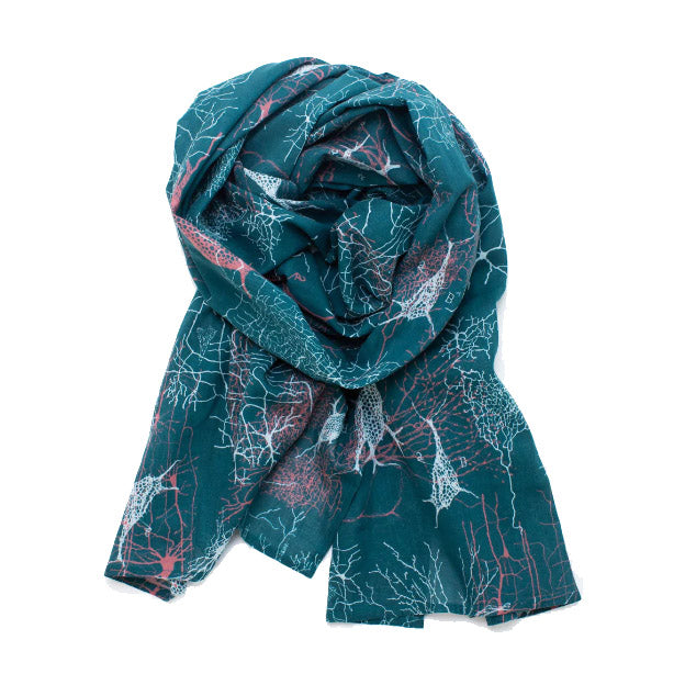 Scarves As The Symbol Of Power & A Perfect Gift, Journal