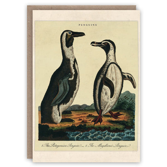 Penguins Card