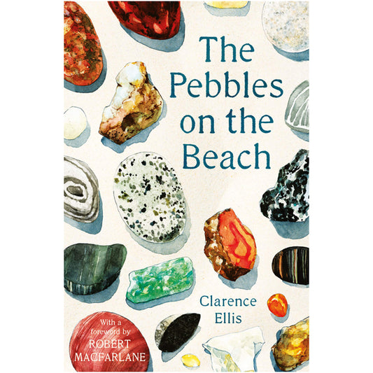 The Pebbles on the Beach