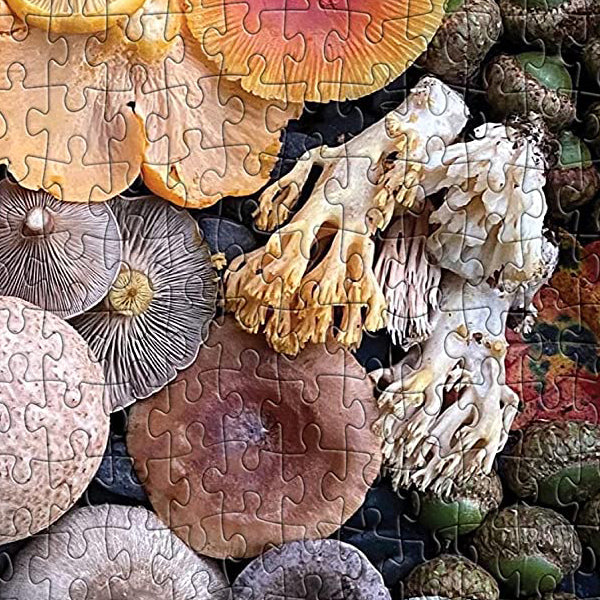 Shrooms in Bloom 500-Piece Jigsaw Puzzle