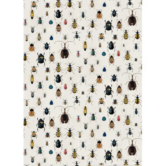 Bugs and Beetles Wrapping Paper