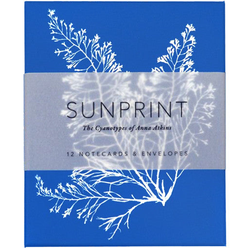 Sunprint Notecards