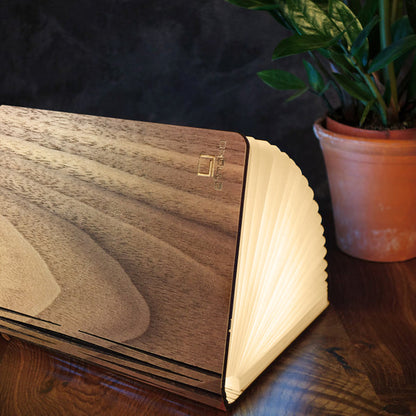 Book Light - Mini