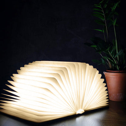 Book Light