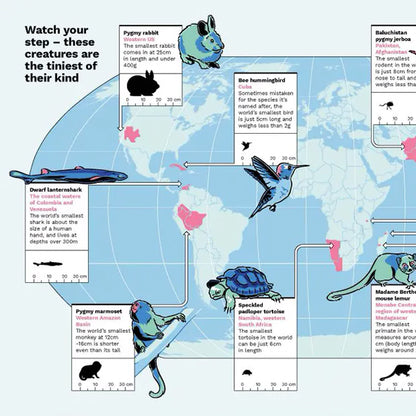 Wild Maps: A Nature Atlas for Curious Minds