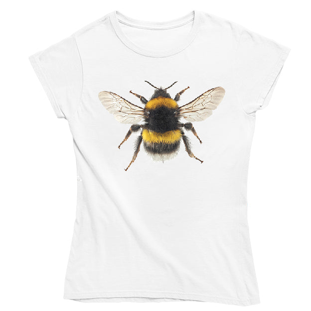 Bombus lucorum Women's T-shirt - Fitted