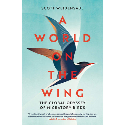 A World On The Wing