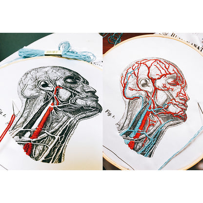 Blood Vessel Embroidery Kit