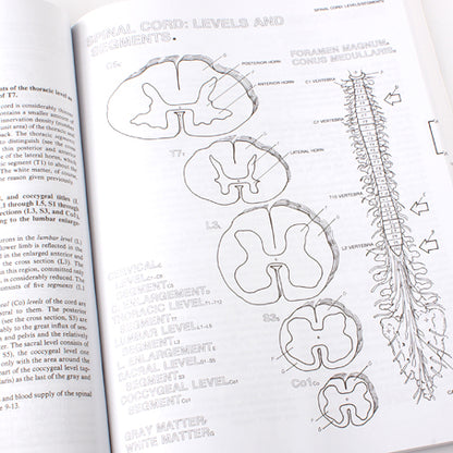 Human Brain Colouring Book