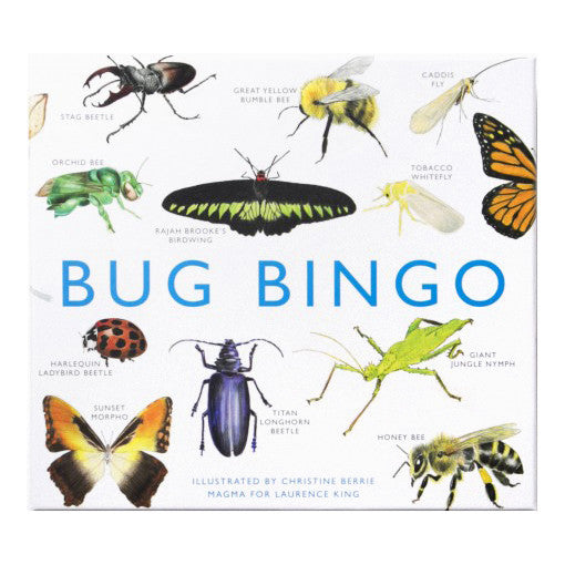 Bug Bingo Game