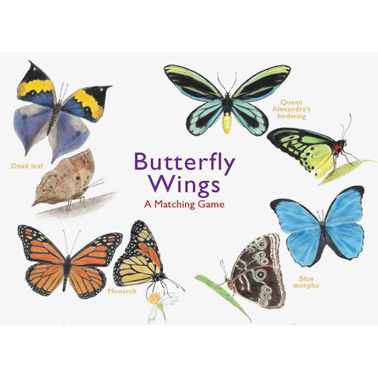 Butterfly Wings - A Matching Game