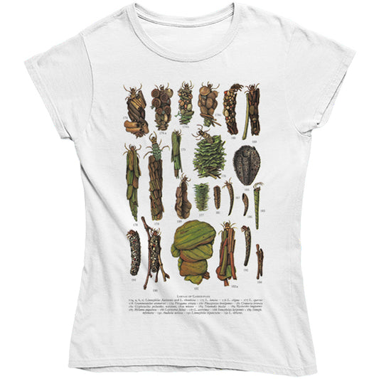 Caddis Fly Larvae Women's T-shirt - Fitted