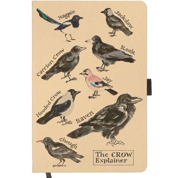 Crow Explainer Notebook