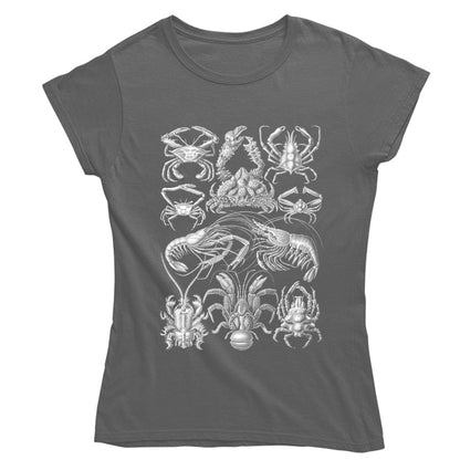 Haeckel's Decapoda Women's T-shirt - Grey