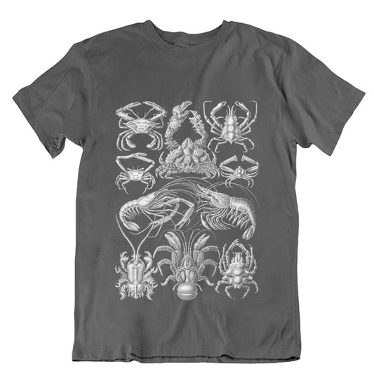 Haeckel's Decapoda Unisex T-shirt - Grey