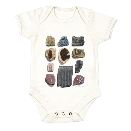 Eleven Fossils Babygro