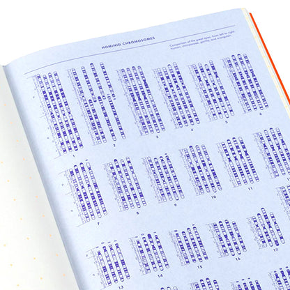 Grids & Guides (Orange): A Notebook for Visual Thinkers