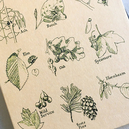 Leaf Identifier A5 Kraft Notebook