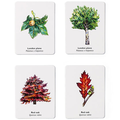 Match a Leaf Memory Game