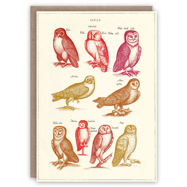 Owls Card