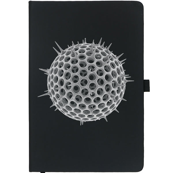 Radiolarian Notebook