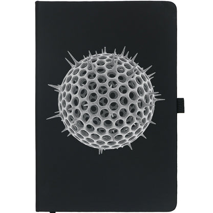 Radiolarian Notebook