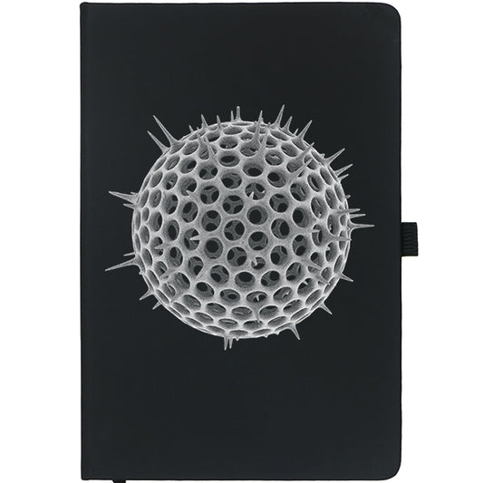 Radiolarian Notebook