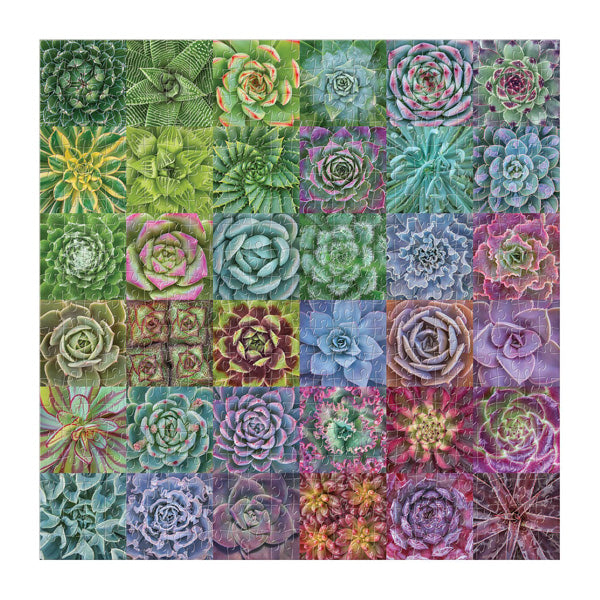 Succulent Spectrum 500-piece Jigsaw Puzzle